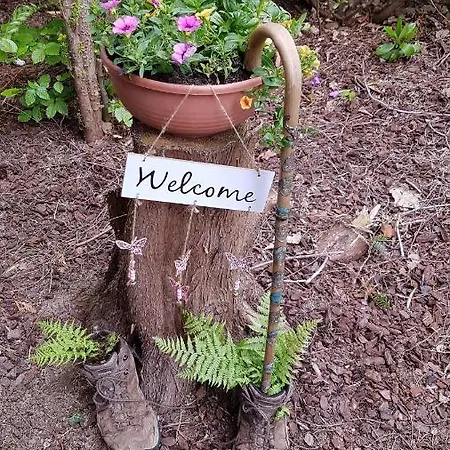 Lejlighed Haus Sachsensteinblick Sonnenschein Bad Sachsa