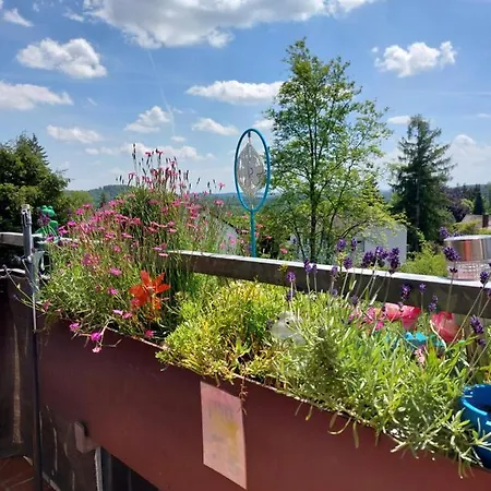 Apartment Haus Sachsensteinblick Sonnenschein Bad Sachsa
