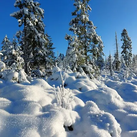 Lejlighed Haus Sachsensteinblick Sonnenschein