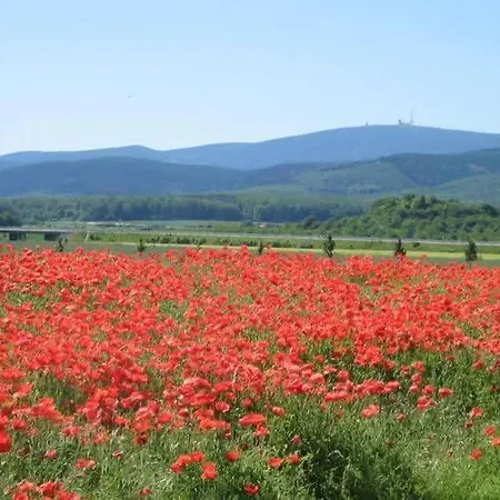 Haus Sachsensteinblick Sonnenschein *