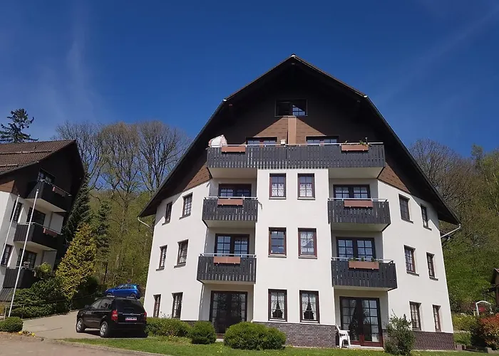 Haus Sachsensteinblick Sonnenschein * Bad Sachsa