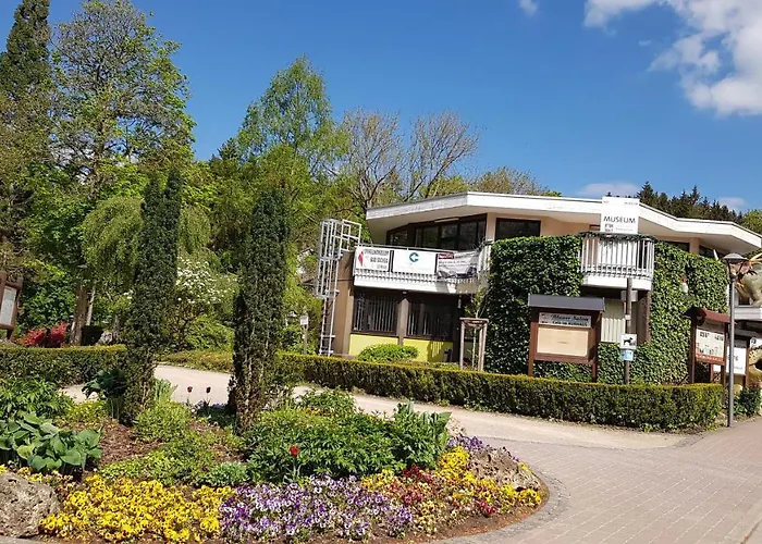 Daire Haus Sachsensteinblick Sonnenschein *